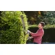 Кусторез Ryobi RHT8165RL