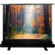 Проекционный экран CACTUS FloorExpert 68x120 CS-PSFLE-120X68
