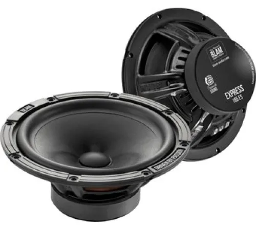 Мидбас BLAM W165 ES