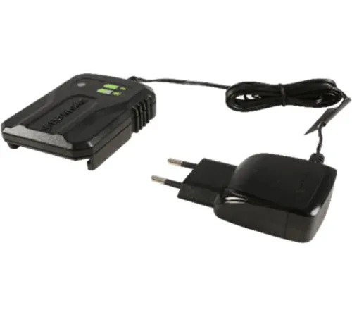 Зарядное устройство Greenworks G40UCM2M 40В