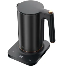 Электрический чайник Evolution KP22151L Thermocontrol
