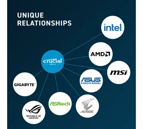 Оперативная память Crucial 16ГБ DDR5 5600 МГц CT16G56C46U5