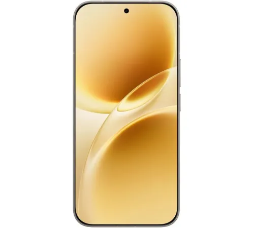 Телефон Vivo V70 V2538 8GB/256GB международная версия серый
