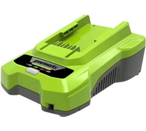 Зарядное устройство Greenworks G24C4 24В