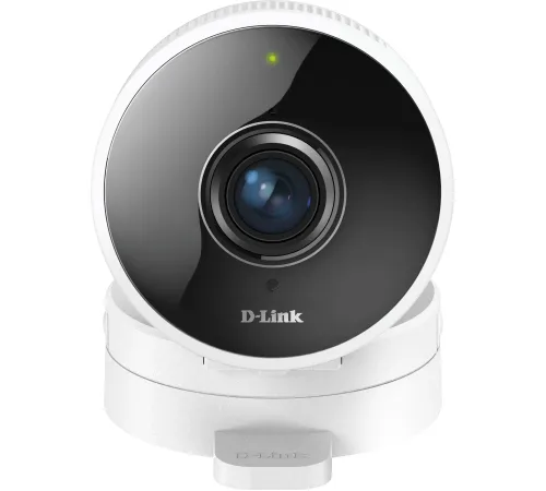 IP-камера D-Link DCS-8100LH/A1A