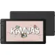 Графический монитор Huion Kamvas 13 Gen 3 черный
