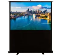 Проекционный экран CACTUS FloorCompactExpert 120x160 CS-PSFLCE-160х120
