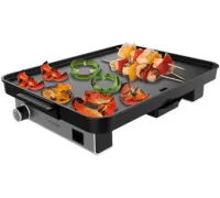 Электрогриль Cecotec Magnet 1800
