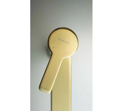 Смеситель Deante Arnika Gold BQA R20N