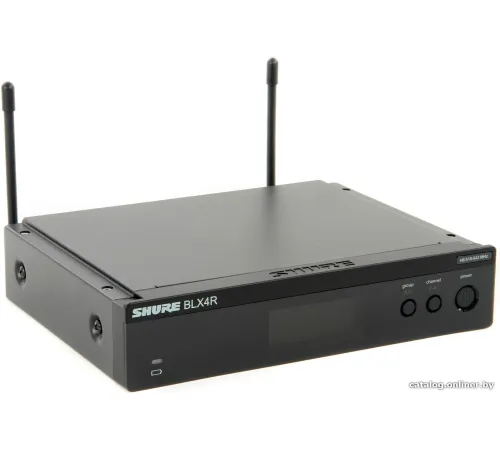 Радиосистема Shure BLX24RE/SM58