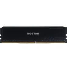 Оперативная память BIOSTAR Storming V 8ГБ DDR4 3200 МГц