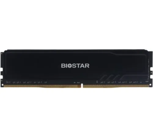 Оперативная память BIOSTAR Storming V 8ГБ DDR4 3200 МГц