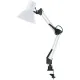 Настольная лампа TDM Electric SQ0337-0027