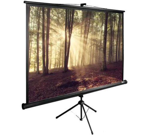 Проекционный экран CACTUS TriExpert 135x180 CS-PSTE-180X135-BK