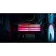 Оперативная память Kingston FURY Renegade RGB 48ГБ DDR5 6000МГц KF560C32RSA-48