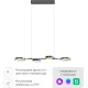 Подвесная люстра Yeelight Arowana Chandelier C2103 YLDL031 4 плафона