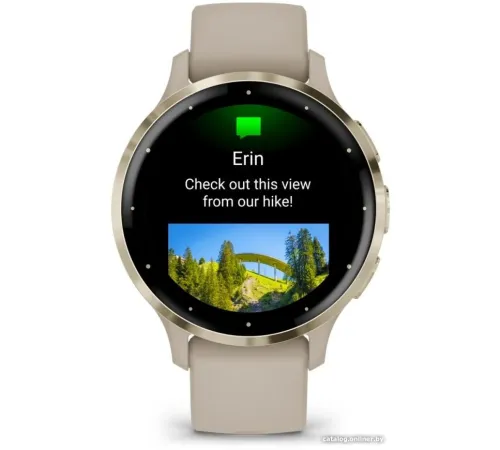 Умные часы Garmin Venu 3S френч-грей, с силиконовым ремешком