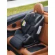 Детское автокресло Amarobaby Favorite Isofix С усиленной боковой поддержкой AB24-20FAV/0910 черный/графит