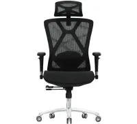 Офисное кресло Evolution Exo F1 Mesh Black черный