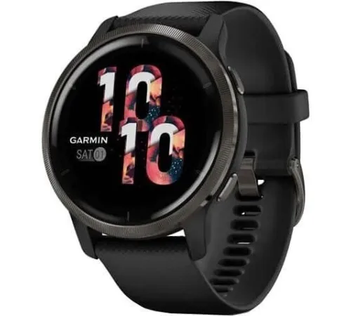 Умные часы Garmin Venu 2 сланцевая нержавеющая сталь/черный