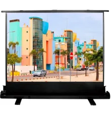 Проекционный экран CACTUS FloorExpert 120x160 CS-PSFLE-160х120