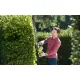 Кусторез Ryobi RHT8165RL