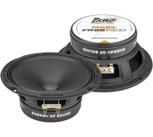 Широкополосная АС AMP Mass FR65P100