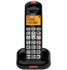Радиотелефон TeXet TX-D7855A черный