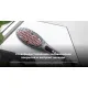 Выпрямитель Cecotec InstantCare Smooth Brush 4746